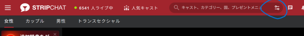 ストリップチャットの検索フィルター機能