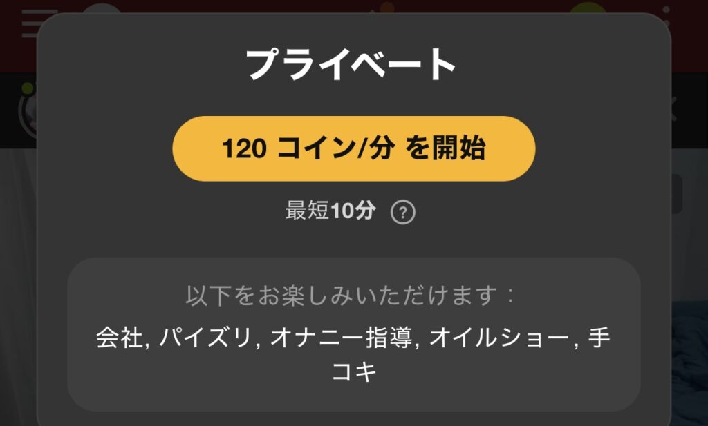 プライベートチャットの料金や内容が表示されている画面。